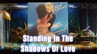 Standing In The Shadows Of Love   Rod Stewart   Blondes Have More Fun   9