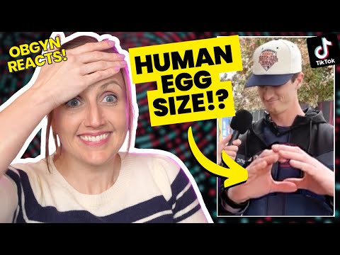 Embarrassing Sex-Ed Fails on TikTok | @ROEvBROS