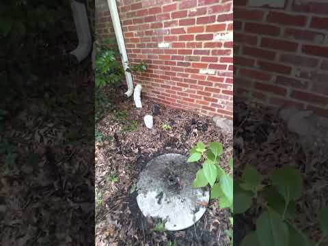 Replacing Float Switches/Adding Tank Extension on a Grinder Pump Part 1