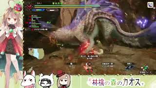 ネタバレ注意 のんびりとやる初心者 モンハンサンブレイク48