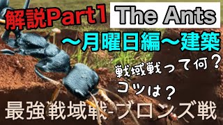 『ザアンツ』最強戦域戦について解説Part1