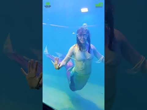 Prop and Mermaid Show