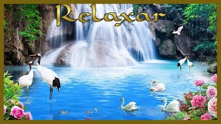 RELAXAR Com Belas Cachoeiras Sons Da natureza Canto De Pssaros gua Corrente Musica Relaxante2022