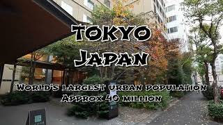 Cruising to Tokyo Japan, November 2025