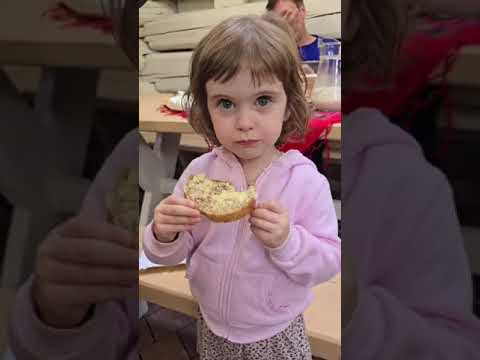 Zwierzęta i atrakcje w Agroturystyce Kozinówka