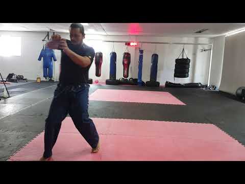 SILAT PERISAI DIRI - HARIMAU (TIGER) TECHNIQUE TRAINING