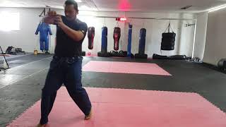 SILAT PERISAI DIRI - HARIMAU (TIGER) TECHNIQUE TRAINING