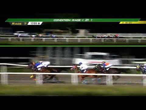 PRCI Race 7 February 18, 2020