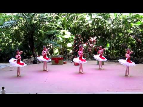 The Nutcracker by MSVA - 2014