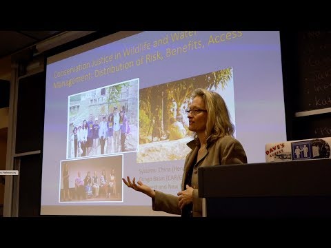 Lightning Talks: Professor Rebecca Hardin