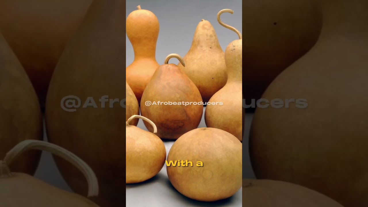 African Talking Drums gives Rhythms to Afrobeat Grooves | Download Royalty Free Talking Drums Loops