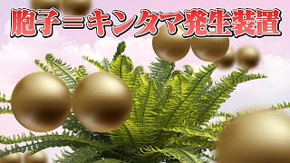 植物を人体にたとえよう！【キンタマ発生装置】#108