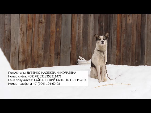 Огонь лишил всего