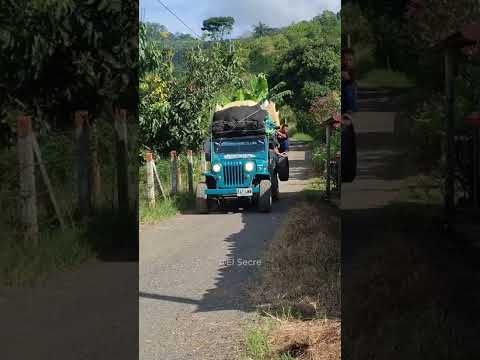 ¿Sabes cómo llegar hasta este punto en Cardinales Bajo, Balboa?