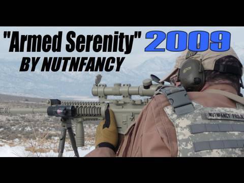 "Armed Serenity" 2009 by Nutnfancy