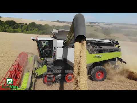 New Claas Lexion 7600 & 760 Harvesting 2020