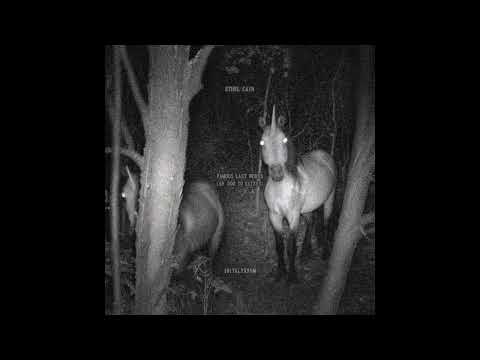 Famous Last Words (Official Instrumental with Background Vocals) - 1017 ALYX 9SM, Ethel Cain