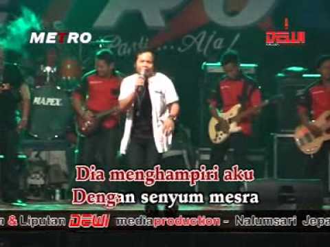 New METRO -  TANAMOR -  WAWAN P - WOLO