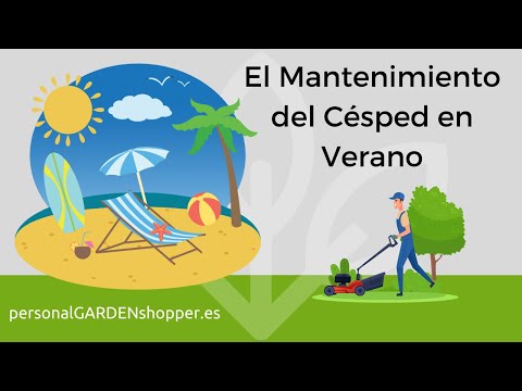 Césped verde en verano: guía de riego y cuidados