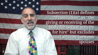 What's the Difference between a Prostitute and an Escort (84) Michael A Haber Miami Criminal Lawyer
