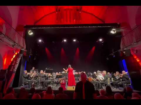 Brass Band VielKLANG - I've had the time of my life