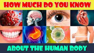 How Much Do You Know About the Human Body?