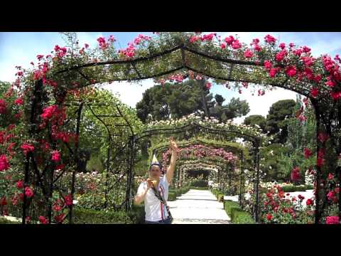 FELIZ CUMPLEAÑOS TIA LUZMILA 2