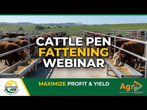 The Business of Cattle Pen Fattening: Profitable Beef Farming Guide (Agrifoods)