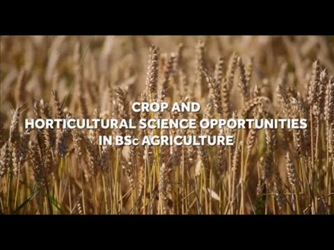 Crop and Horticultural Science opportunities in BSc Agriculture play video
