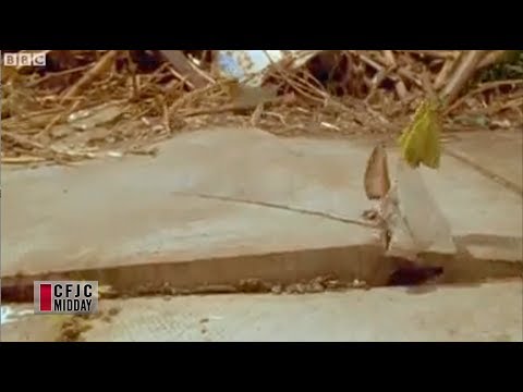 CFJC Midday - Jul 07 - You won't believe what this weed can do!