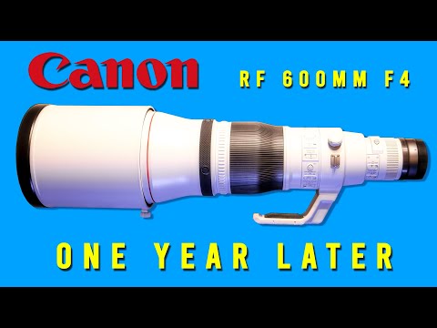 Video thumbnail for Video Review 3