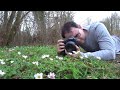 How to Photograph Woodland Flowers Hand-held (Canon 1DX & Canon 100mm f/2.8 Macro Lens)