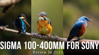 Video thumbnail for Sigma100400mm Sony E Mount Review and Photo's in 2023 by Ryu