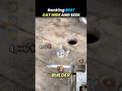 Ranking BEST CAT HIDE AND SEEK Core Moments!! 🐱🙈
