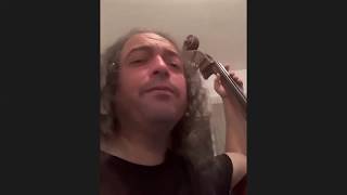 הצלילים של העצים - אומנות הבניה של כלים אקוסטים