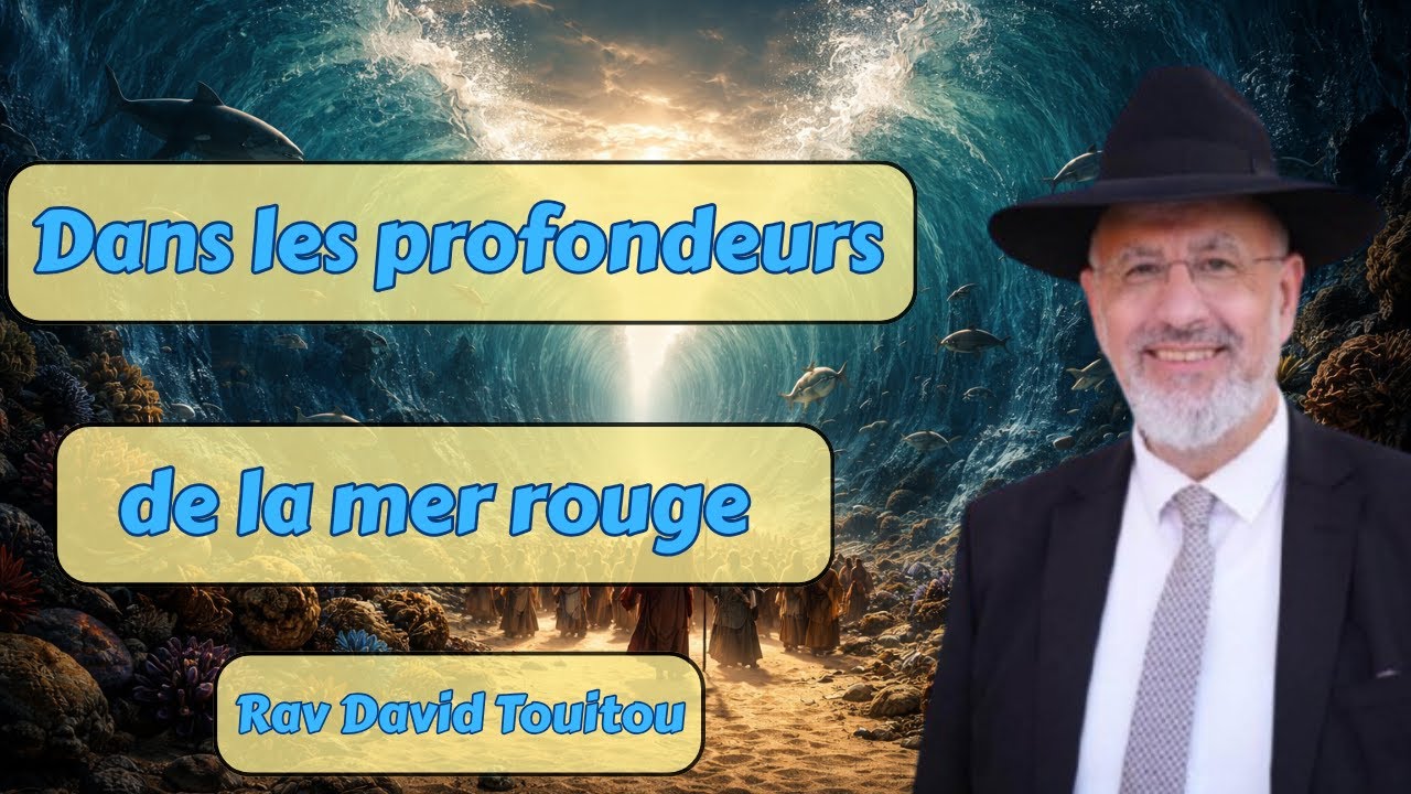 Dans les profondeurs de la mer rouge