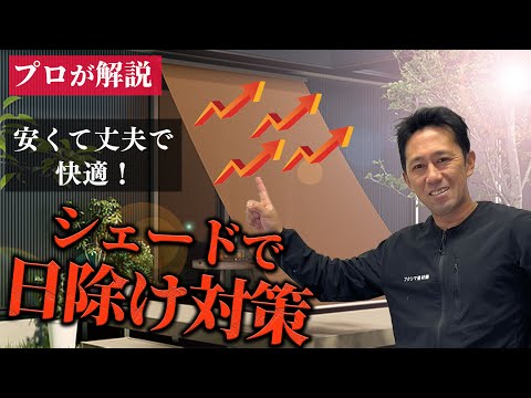 プライバシー スクリーン-バルコニー-エレガント-オリジナル-アイデア-リビング ルーム-ラグ