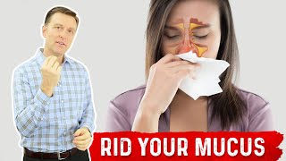 How to Get Rid of Mucus? – Sinus Remedies by Dr. Berg