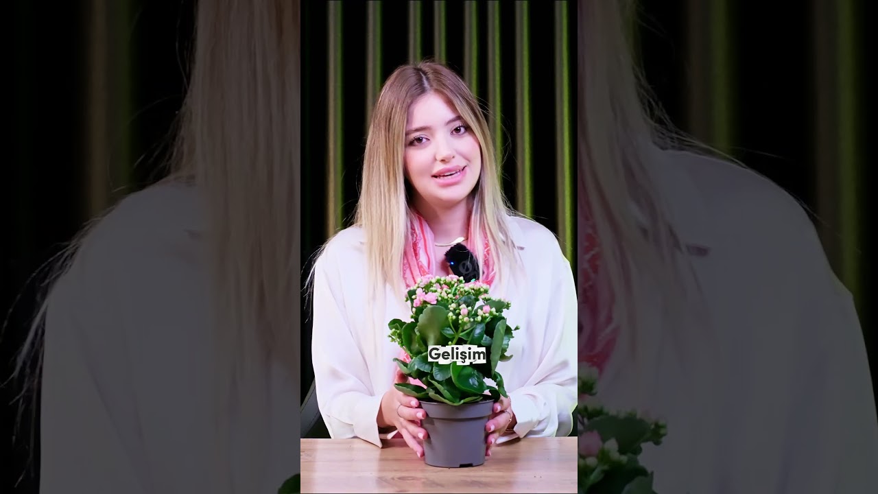 Siz Hangisini Besleyeceksiniz? - Klinik Psikolog Mina Kartal