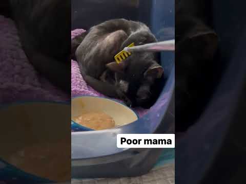 I’m worried about Brenna. She just doesn’t want to eat