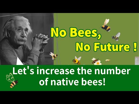 No Bees, No Future!  Let’s Support Native-Bees and Build Hachi-yado!