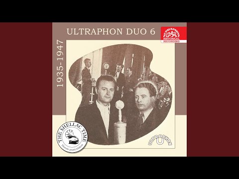 Krákorala šedá vrána