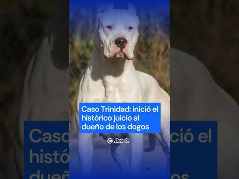 Caso Trinidad Ballesteros: inició el histórico juicio al dueño de los dogos que mataron a la joven