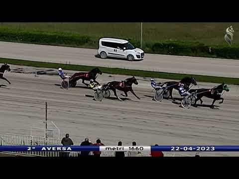 Aversa trotto 22 Aprile 2023 - 2° Corsa