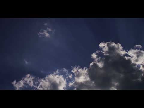 Náhled videa Virtual Insanity Camp - Vibe on Wibe