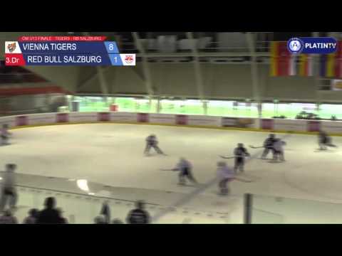 Tor -  Vienna Tigers / Red Bull Salzburg am 20.03.2016 15:50