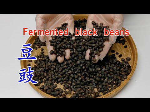 自制传统发酵豆豉 让一粒豆变豆脯最后成豆豉的全过程 Fermented black beans