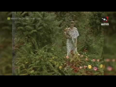 Daab   W Moim Ogrodzie