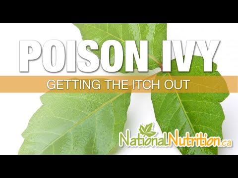 Poison Ivy