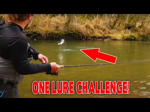 One LURE Winter STEELHEAD Fishing CHALLENGE!